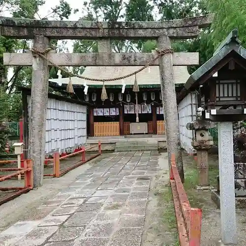 和泉國一之宮　大鳥大社の鳥居