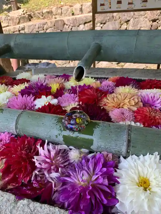 岡寺(龍蓋寺)の手水舎
