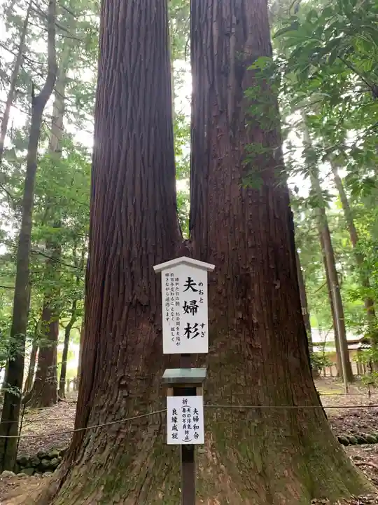 若狭彦神社(上社)の自然