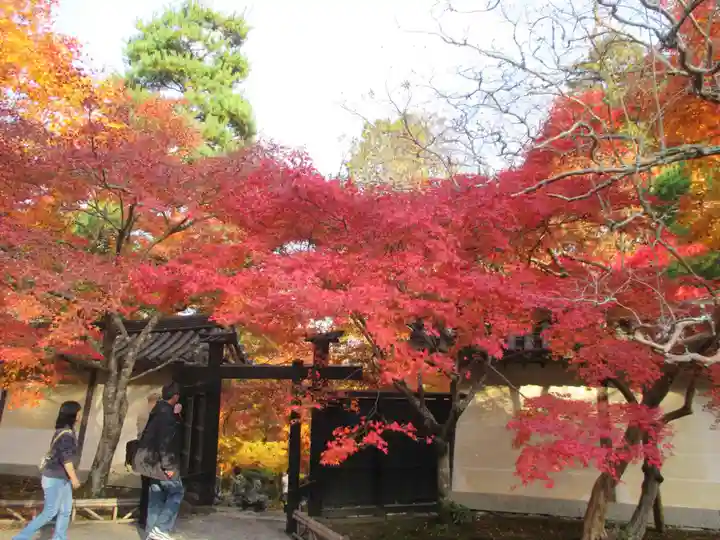 二尊院(京都府)