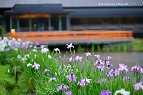 伊勢神宮外宮（豊受大神宮）(三重県)