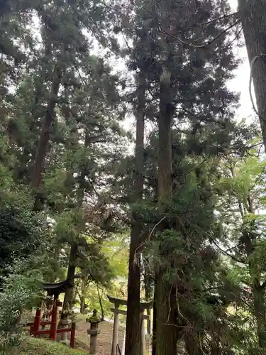 大宮温泉神社の鳥居