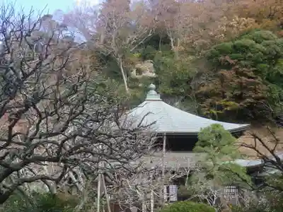 瑞泉寺の本殿・本堂