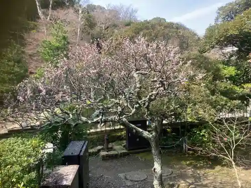 建長寺(神奈川県)