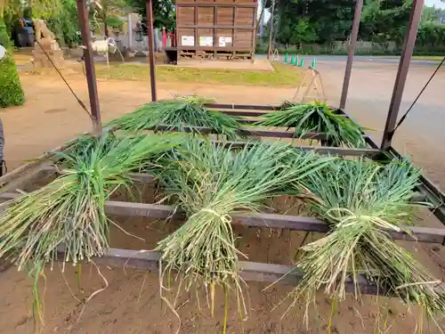 伏木香取神社の体験その他