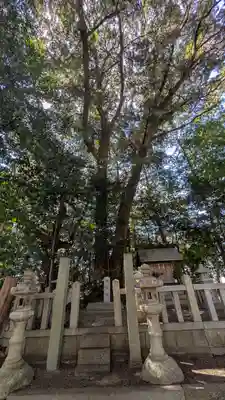 若宮八幡宮(滋賀県)