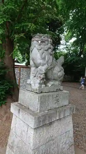 岩槻久伊豆神社の狛犬