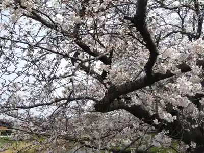 八面神社(愛知県)