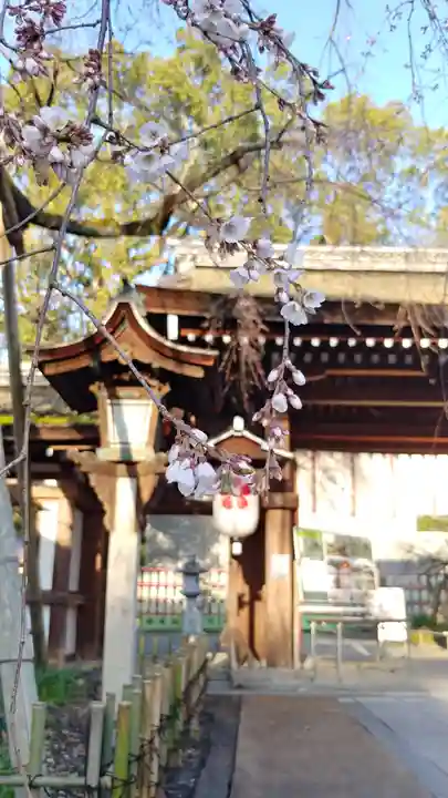 平野神社の自然