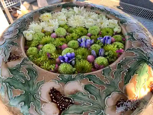 最明寺(埼玉県)