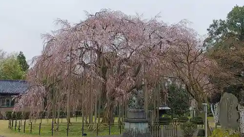 足羽神社の景色