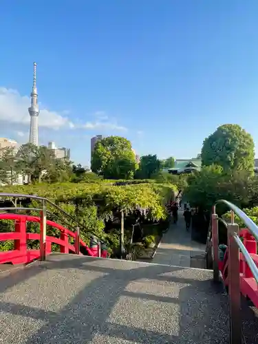 亀戸天神社の景色