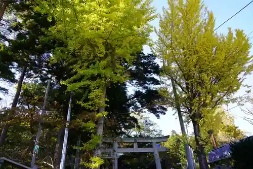  岳温泉神社 の鳥居