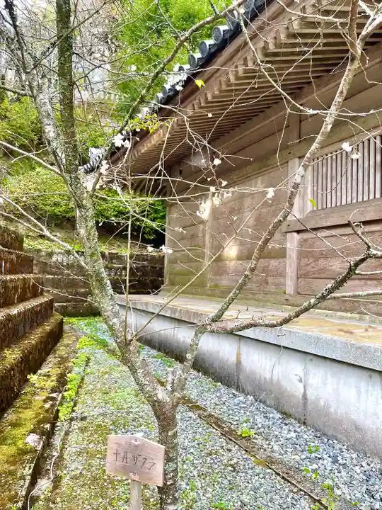 播州清水寺(兵庫県)