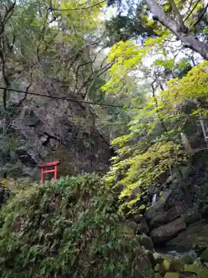 大本山七宝瀧寺(大阪府)