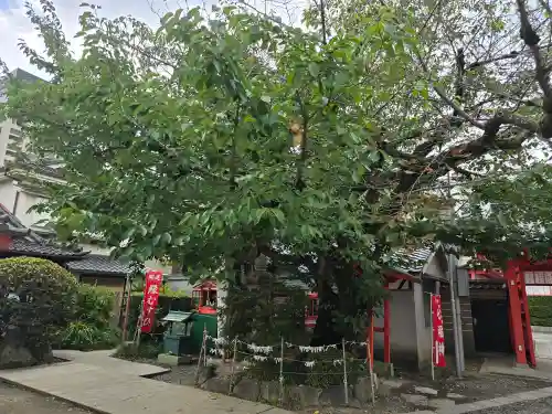 愛染堂勝鬘院の自然