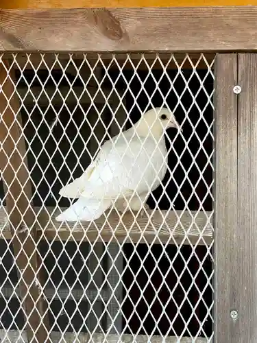 高山神社(群馬県)