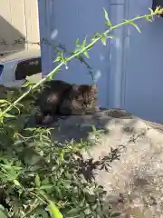 三輪神社の動物