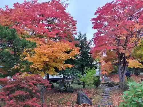 北海道護國神社の庭園