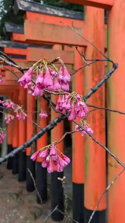 建部大社(滋賀県)
