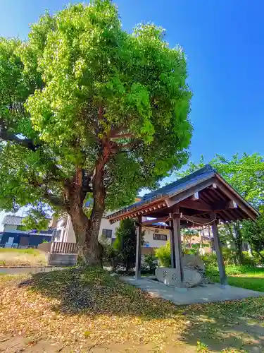 神明社（萩原町河田方）の手水舎