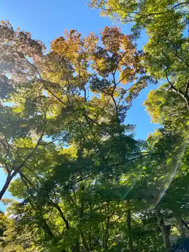 善法律寺の自然