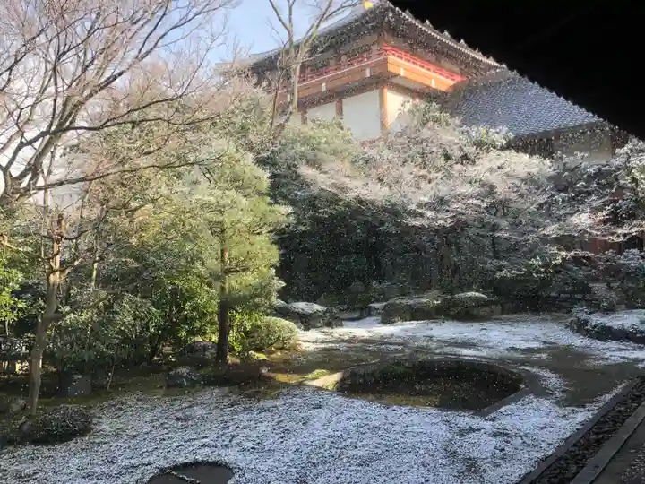 本法寺(京都府)