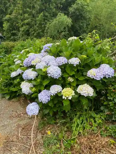 妙音寺の庭園