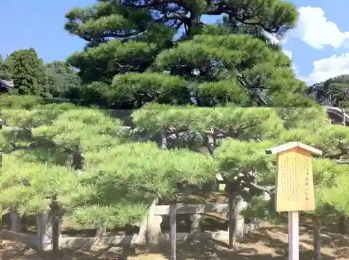 くろ谷 金戒光明寺の庭園