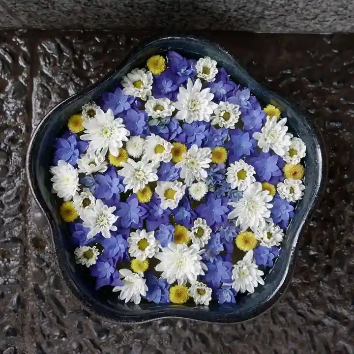 帯廣神社の手水舎