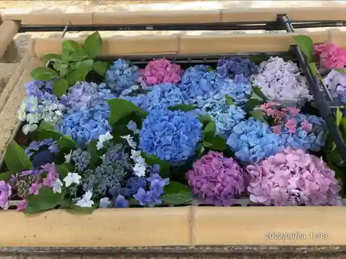 伊太祁曽神社(和歌山県)