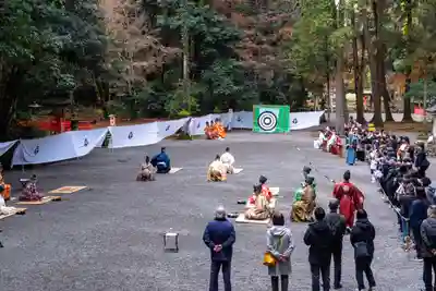 宇佐神宮(大分県)