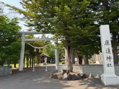 鹿追神社の{uncategorized: "未分類", other: "その他", undefined: "問題あり", building: "その他建物", grave: "お墓", sacred_gate: "鳥居", guardian: "狛犬", statue: "像", buddha: "仏像", history: "歴史", nature: "自然", garden: "庭園", animal: "動物", pagoda: "塔", temizu: "手水舎", mountain_gate: "山門・神門", sanctuary: "本殿・本堂", subordinate: "末社・摂社", art: "芸術", scenery: "景色", jizo: "地蔵", ema: "絵馬", goshuin: "御朱印", omikuji: "おみくじ", items: "授与品その他", amulet: "お守り", goshuincho: "御朱印帳", eats: "食事", festival: "お祭り", votive_dance: "神楽", shichigosan: "七五三参", wedding: "結婚式", experience: "体験その他", initially: "初詣", around: "周辺", anti_infection: "感染症対策"}