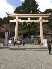 戸隠神社中社の鳥居