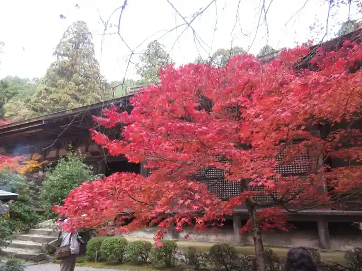 金剛輪寺の自然