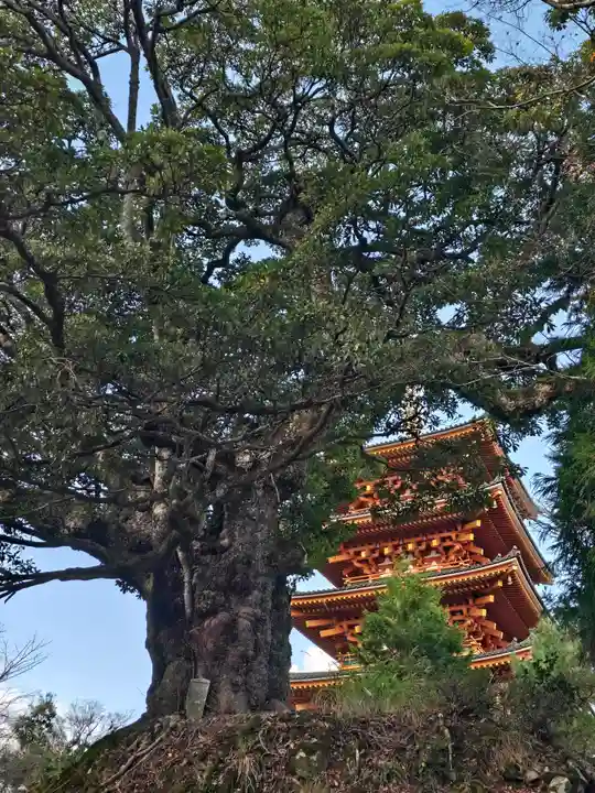 成相寺(京都府)