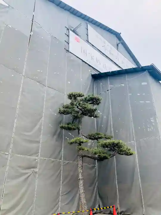 三十三間堂本坊 妙法院門跡(京都府)