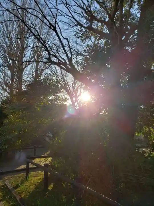 源光寺(回向院市川別院)の景色