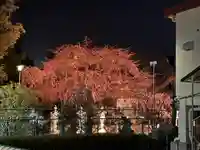 観音神社(広島県)