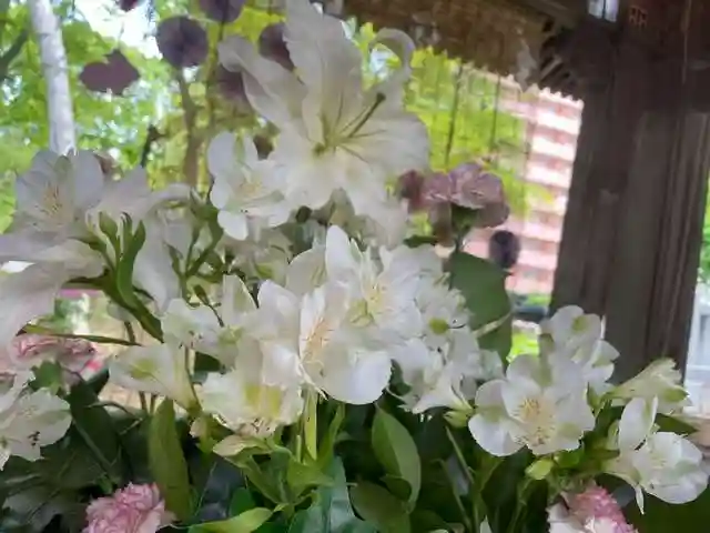彌彦神社 (伊夜日子神社)の手水舎