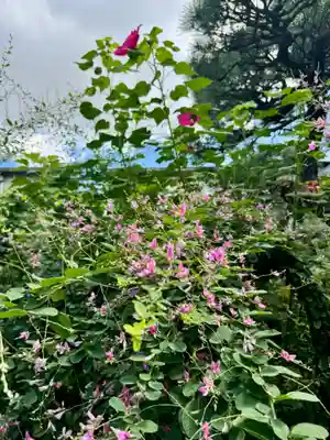 勝念寺（かましきさん）(京都府)