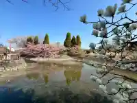 東運寺の{uncategorized: "未分類", other: "その他", undefined: "問題あり", building: "その他建物", grave: "お墓", sacred_gate: "鳥居", guardian: "狛犬", statue: "像", buddha: "仏像", history: "歴史", nature: "自然", garden: "庭園", animal: "動物", pagoda: "塔", temizu: "手水舎", mountain_gate: "山門・神門", sanctuary: "本殿・本堂", subordinate: "末社・摂社", art: "芸術", scenery: "景色", jizo: "地蔵", ema: "絵馬", goshuin: "御朱印", omikuji: "おみくじ", items: "授与品その他", amulet: "お守り", goshuincho: "御朱印帳", eats: "食事", festival: "お祭り", votive_dance: "神楽", shichigosan: "七五三参", wedding: "結婚式", experience: "体験その他", initially: "初詣", around: "周辺", anti_infection: "感染症対策"}