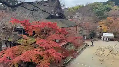 談山神社(奈良県)
