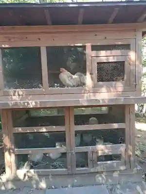 武田神社(山梨県)