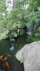 西新井大師総持寺の庭園