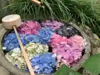 唐澤山神社(栃木県)