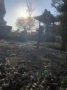 法源寺の庭園 2019年12月15日(日)〜(2019年12月11日(水) 16時22分43秒投稿)