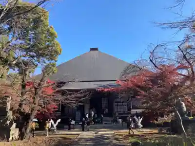淨眞寺(東京都)