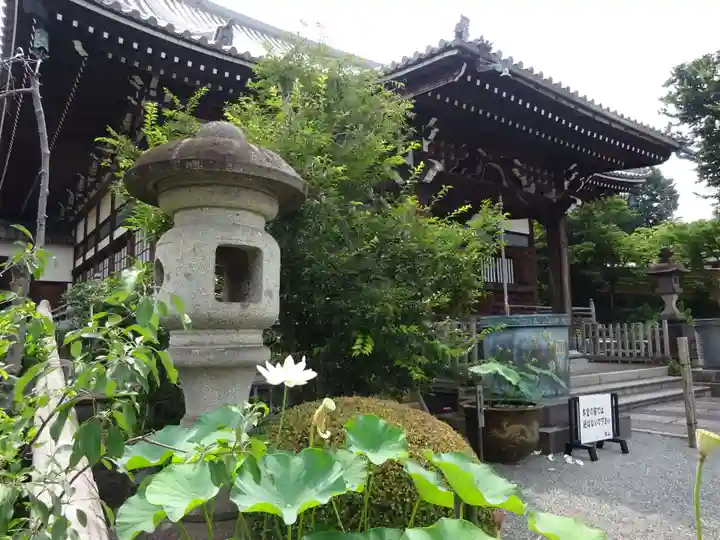 妙蓮寺の本殿・本堂