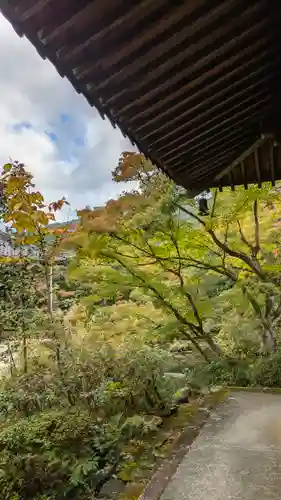 慈氏院(京都府)